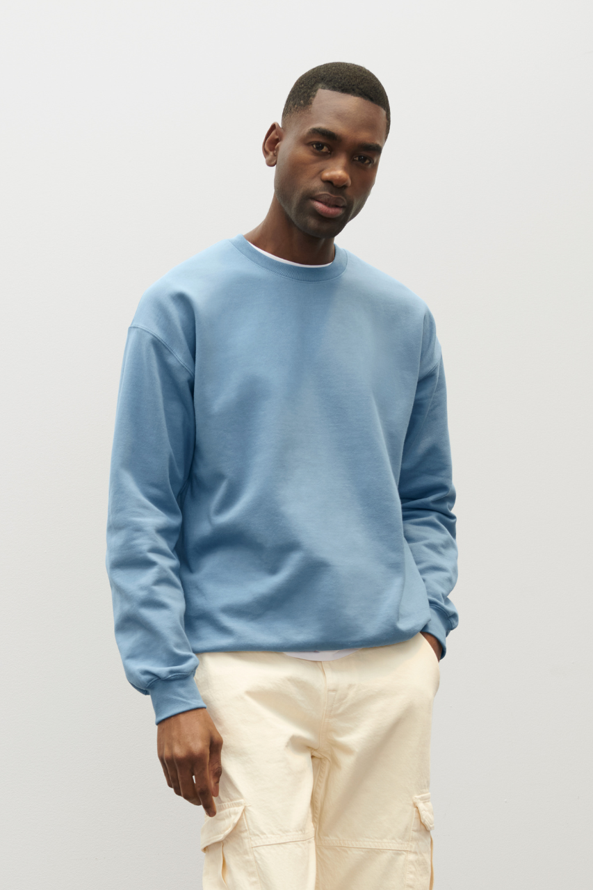majcoteka:style:GISF000:alt:gisf000-1.png