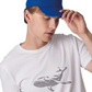 majcoteka:style:KP088:alt:kp088-4.png