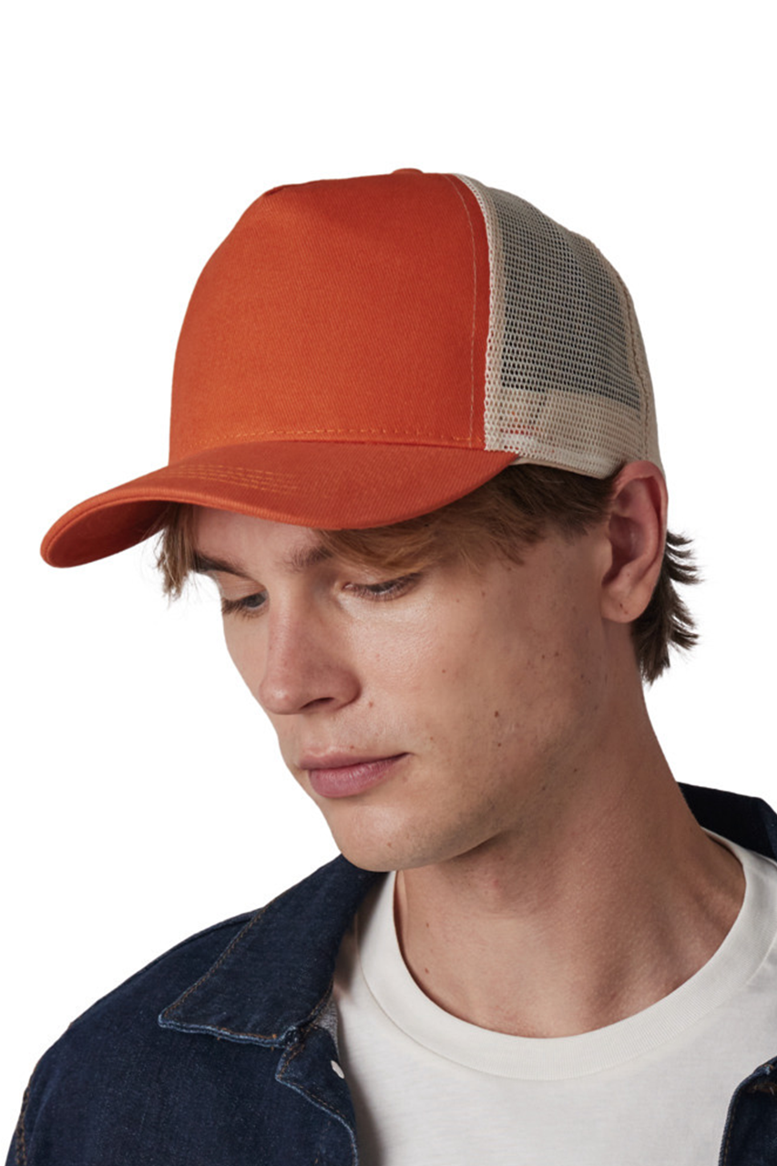majcoteka:style:KP137:main:kp137-1.png