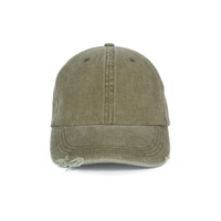 majcoteka:sku:kp235wig-u:color:kp235-washed_ivy_green-a1.png