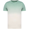 majcoteka:sku:ns345ddjg-s:color:ns345-dip_dye_jade_green-a1.jpg
