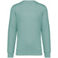 majcoteka:sku:ns400jg-s:packshot:ns400-jade_green-b1.jpg