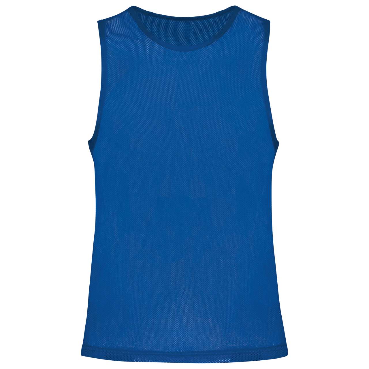 majcoteka:sku:pa043sro-s/m:color:pa043-sporty_royal_blue-a2.jpg