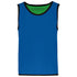 majcoteka:sku:pa046sro/gn-10/14:color:pa046-sporty_royal_bluegreen-a1.jpg