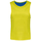 majcoteka:sku:pa048fye/sro-10/14:color:pa048-fluorescent_yellowsporty_royal_blue-a1.jpg