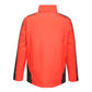 majcoteka:style:RETRA312:alt:retra312-3.jpg