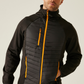 majcoteka:style:RETRA549:main:retra549-1.png