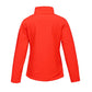 majcoteka:sku:retra629cre/bl-xs:packshot:retra629-classic_red_black-b1.jpg