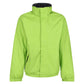 majcoteka:sku:retrw297kli/sg-xs:color:retrw297-keylimeseal_grey-a1.jpg